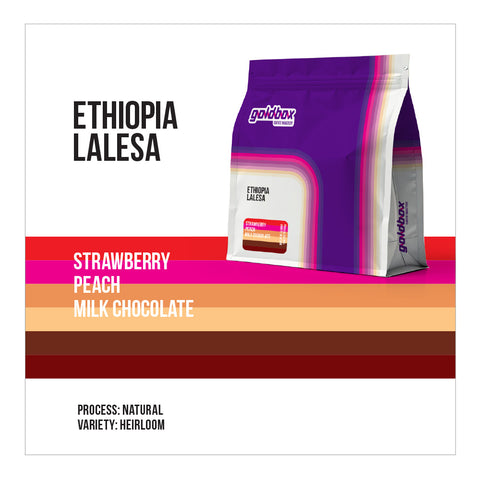 Ethiopia Lalesa