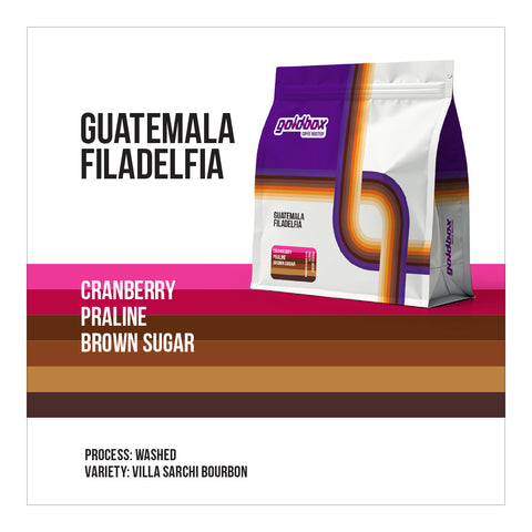 Guatemala Finca Filadelfia