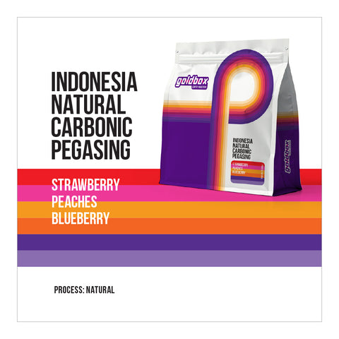 Indonesia Team Pegasing CM