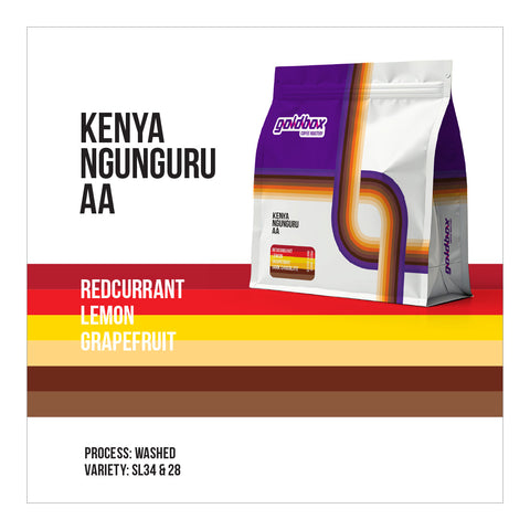 Kenya Ngunguru AA