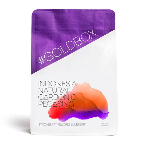 Indonesia Team Pegasing CM